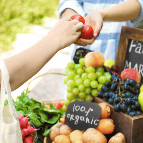 Food Industry